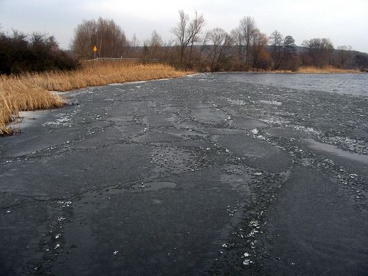 Przedwiośnie w Murzynowie 
Słowa kluczowe: Murzynowo