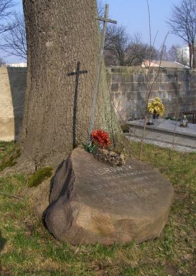 PŁOCKIE POWĄZKI
Skromny nagrobek majora Dąbrowskiego.
