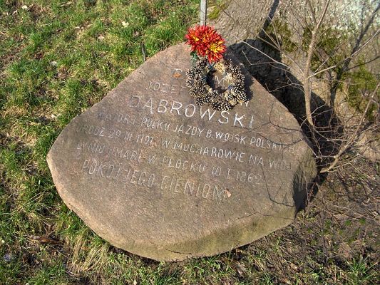 PŁOCKIE POWĄZKI
Polny głaz jako nagrobek z 1862 r.
