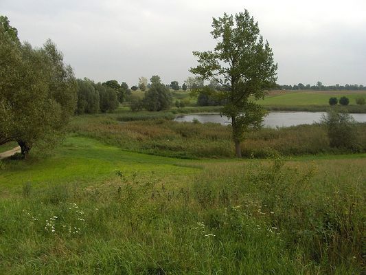 Karwosieki - Cholewice
Uroczy zakątek Brudzeńskiego Parku Krajobrazowego.
Słowa kluczowe: Karwosieki Cholewice