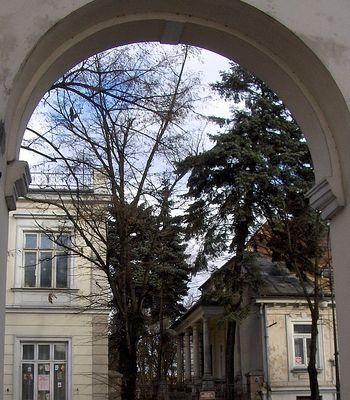 Architektura i przyroda ulicy Kościuszki
