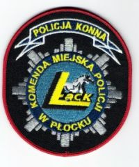 Policja konna

