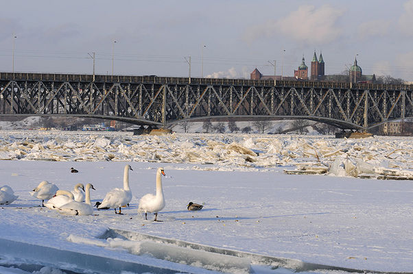 abądki i kaczki
miejsce yacht clubu prestiż
Słowa kluczowe:  wisla kra radziwie yacht club prestiz