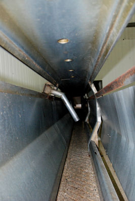 Zakłady Mięsne w Płocku
Tunel śmierci, tym tunelem szły świnki do elektrycznego zabójcy, którego pokarzę na innych fotach. Zagięta rura wystająca ze ściany to zapadka anty cofka.
Słowa kluczowe: zaklady miesne plock