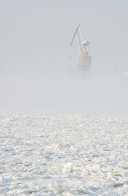 Żuraw we mgle
Pewnego poranka w lutym 2005, Radziwie osnute było mgłą z której powoli wyłaniał się zuraw stoczniowy. Canon seria D... tele 135mm iso 100
Słowa kluczowe: Radziwie stocznia