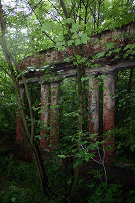 Studzieniec - ruina pałacu
