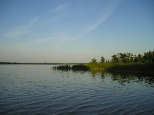 Jezioro Zdworskie 2005
Słowa kluczowe: Zdwórz Jezioro Zdworskie