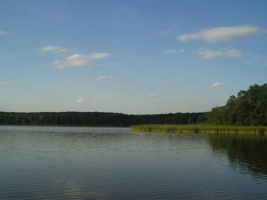 Jezioro Duże w Łącku
Słowa kluczowe: Łąck