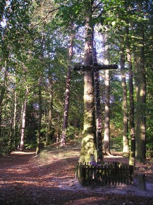 Łąck
Słowa kluczowe: Łąck