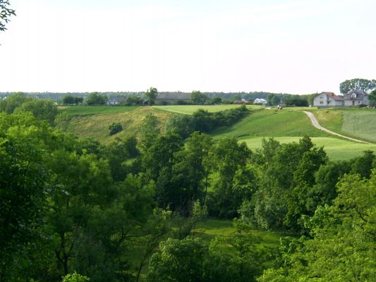 Dolina rzeki Wierzbicy koło Wyszyny
