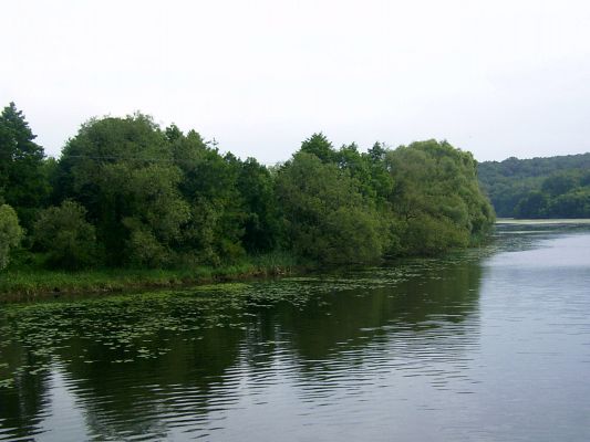 Skrwa Prawa w okolicy ujścia do Wisły
