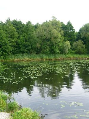 Skrwa Prawa w okolicy ujścia do Wisły
Zdjęcie robione z mostku
