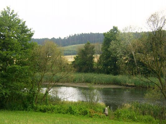 Skrwa Prawa w okolicy Cierszewa
