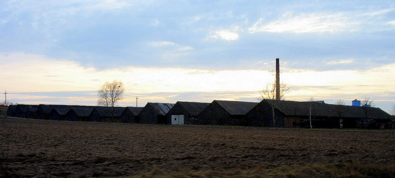 Cegielnia
miejscowość: Wymyśle
