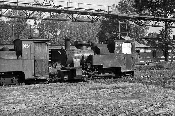 teren cukrowni w Małej Wsi z parowozami kolejki wąskotorowej, 1973r.
ciekawostką w cukrowni była technologia wytwarzania pary wodnej niezbędnej przy produkcji cukru a mianowicie para wytwarzana była również przez zastosowanie kotła o konstrukcji pochodzącej z parowozu. W latach dziewiędziesiątych wykonano mnóstwo ulepszeń w technologii samej produkcji oraz zainwestowano w oczyszczalnię, która obsługuje dzisiaj całą  m. Mała Wieś.  A sama cukrownia stoi i niszczeje
Słowa kluczowe: cukrownia Mała Wieś