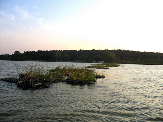 Jezioro Zdworskie
Sztuczne zakotwiczone wyspy pływające z koloniami małż, które żywią się częściami organicznymi wody filtrując je ze zbyt żyznej wody w jeziorze. Jeżeli się zaaklimatyzują i sprawdzą w działaniu mogą być rewolucją ekologiczną. Jest to nowatorskie działanie opisane w kilku artykułach w gazetach lokalnych. 
