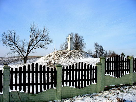 Cekanowo  k/Słupna
ten kopiec musi kryć jakąś historię ?
Słowa kluczowe: kopiec świątek Cekanowo