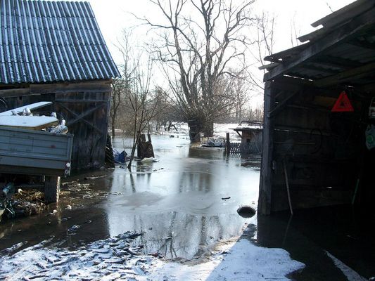Wisła zagląda do domostw w Chmielewie k/Wyszogrodu
trzy rodziny mieszkające w obrębie bardzo starego wału przeciwpowodziowego dostały na czas zagrożenia powodzią kwatery od Burmistrza kilka dni temu, ale na własną odpowiedzialność nie posłuchały się i zostały na swoich śmieciach
Słowa kluczowe: Wisła zagląda do domostw w Chmielewie k/Wyszogrodu
