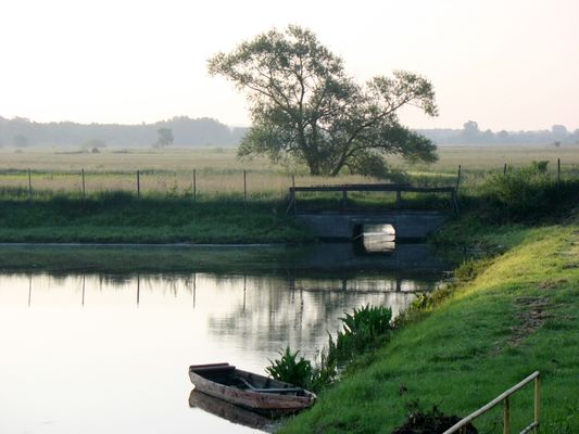świt
Wykowo 
Słowa kluczowe: świt Wykowo