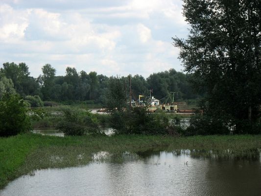 refuler pogłębia dno Wisły na przeciwko pękniętego wału w Świniarach
piasek rurami wędruje z wodą i osiada przy brzegu skąd spycharki przemieszczają go dalej 
Słowa kluczowe: refuler pogłębia dno Wisły Świniary po powodzi