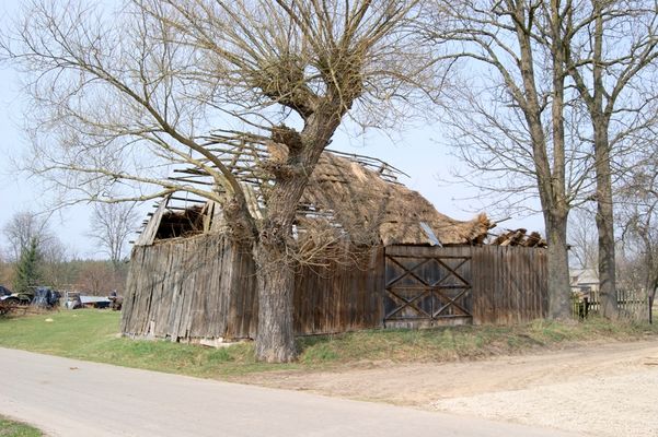 wiekowa stodoła pod strzechą
Cieśle, gm. Bodzanów
Słowa kluczowe: stodoła strzecha Cieśle