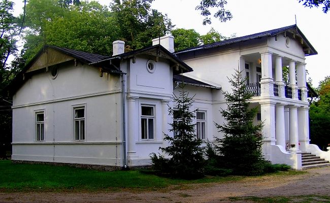 pałac Turskich w  Borowicach  k. Miszewa Nowego
styl neoklasycystyczny, zbudowany w 1918r.
Słowa kluczowe: pałac Turskich Borowice