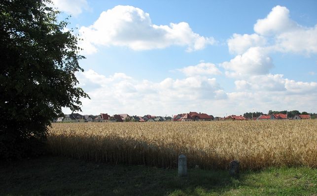  "żytnie przedpola" nowego osiedla przy ul. Św. Huberta
widok ze skrzyżowania  ul.Wyszogrodzkiej z  ul. Parcele  w  Imielnicy
Słowa kluczowe: ul. Św. Huberta     Imielnica    Płock