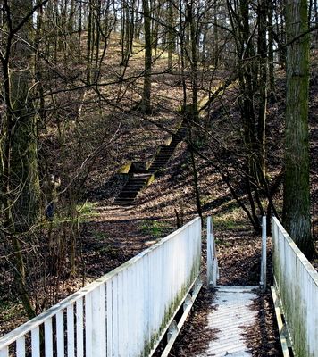stalowa kładka nad Słupianką a dalej betonowe schodki na leśnym stoku
Słupno. Stąd chyba już niedaleko do pozostałości grodziska w Szeligach
