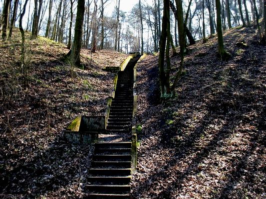 schodki nad Słupianką w Słupnie
na górze były kiedyś obozowiska harcerzy. Czy ktoś to pamięta ?
