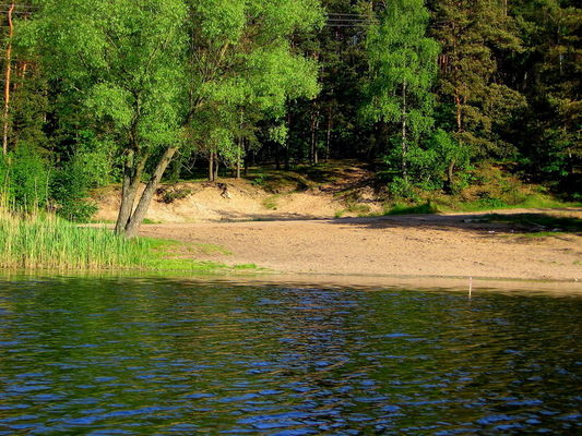 Jezioro Zdworskie
dzika plaża
