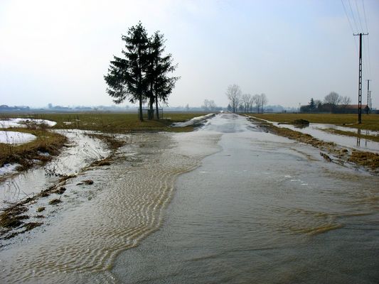 wiosenna droga
Konary, gm. Bielsk
Słowa kluczowe: wiosenna droga Konary, gm. Bielsk