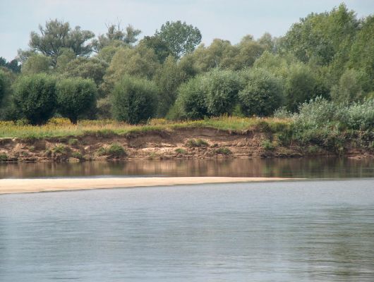 wiślany brzeg
wiślany brzeg gdzieś pomiędzy Płockiem a Wyszogrodem
