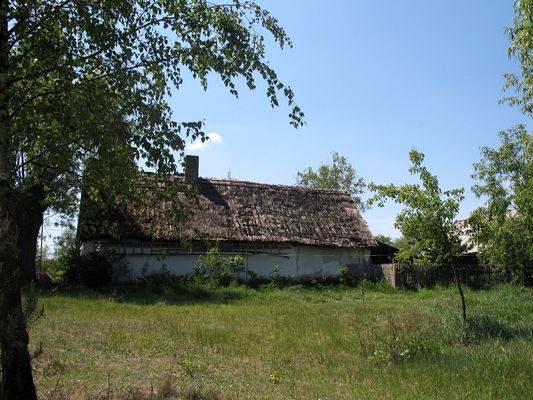 dom kryty strzechą - ostatni relikt z przeszłości
Karolew koło Dobrzykowa
Słowa kluczowe: strzecha chałupa Karolew koło Dobrzykowa