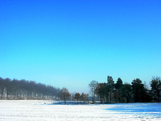 dolina nad Skrwą
Cierszewo
Słowa kluczowe: dolina Skrwa Cierszewo