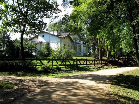 Dwór w Borowicach, gm. Bodzanów - widok od wjazdu z drogi
Dwór w stylu neoklasycystycznym wybudowany przez Turskich po 1918r. w Borowicach. Murowany z cegły, otynkowany, na kamiennej podmurówce, parterowy, dziewięcioosiowy, z trzema ryzalitami: dwoma na skrajach oraz środkowym - dwukondygnacyjnym, z tarasem na filarach od strony pn. - wsch. Układ wnętrz dwutraktowy z sienią na osi. Od frontu ganek o dwóch kolumnach toskańskich i dwóch filarach, na piętrze analogiczna loggia zwieńczona trójkątnym szczytem. Nad ryzalitami trójkątne szczyciki. Dach dwuspadowy, kryty blachą. 
