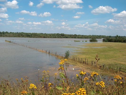 duża woda wystąpiła z koryta Wisły
duuużo wody w Wiśle

Okolice Płocka
