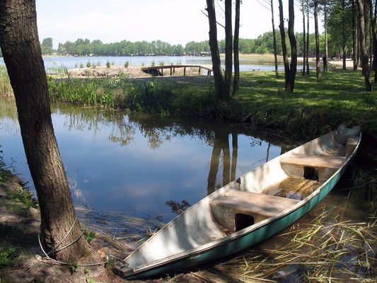 zatoczka 
Jezioro Zdworskie
Słowa kluczowe: zatoczka Jezioro Zdworskie