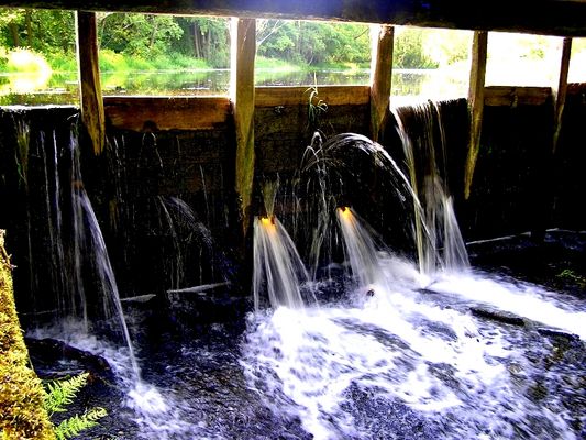 oczy młyńskiego ducha
jaz młyński na rzece Mołtawie w Gąsewie k/Bodzanowa
Słowa kluczowe: jaz młyn Gąsewo