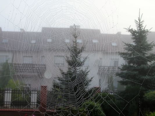 mglisty poranek  23.08.07r.
osiedle nad jarem  przy ul. Zubrzyckiego
Słowa kluczowe: Zubrzyckiego Podolszyce poranek