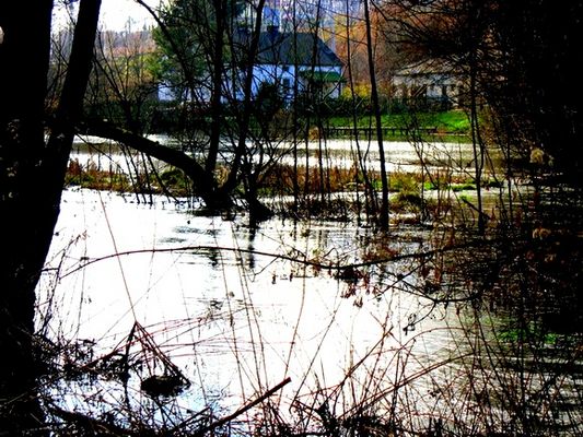 zalew na rzeczce Rosicy
***
