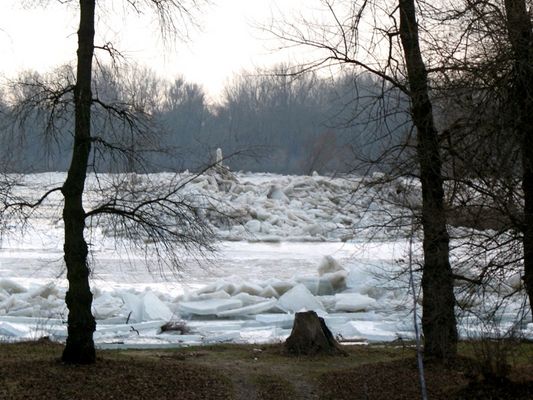 czoło powstającego zatoru lodowego na rzece Wisle w km 492 w Drwałach
ok. 3km poniżej Wyszogrodu w południe 29.01.2009r.
Słowa kluczowe: Wisła czoło zatoru lodowego w Drwałach 