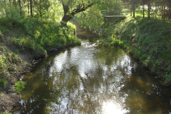 Strumyk przy cukrowni
Borowiczki
