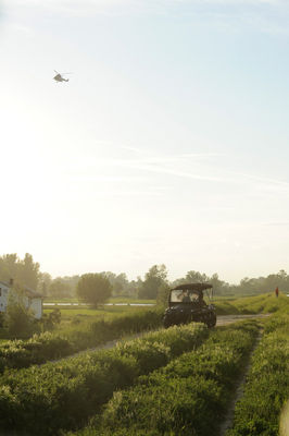 Powódź
Wał w okolicach Świniar
