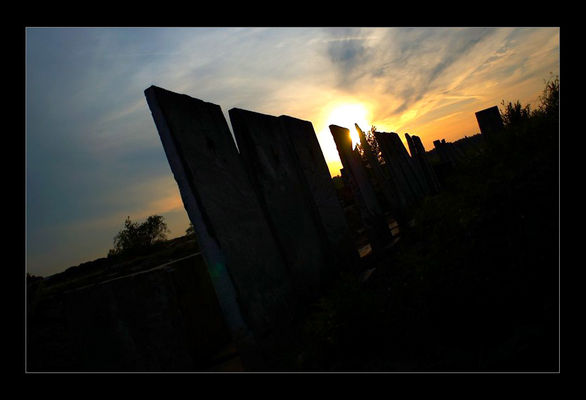 Prawie jak Stonehenge
Teren mleczarni w Radziwiu
