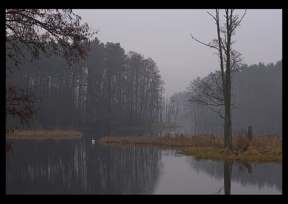 Jezioro Soczewka - Krzywy Kołek
