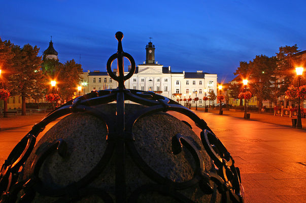 Kopułka wodopoju
[i]Detal[/i]
