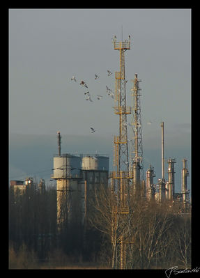 Obserwatorium pomiarowo-meteorologiczne /k. zbiorników retencyjnych Orlenu
