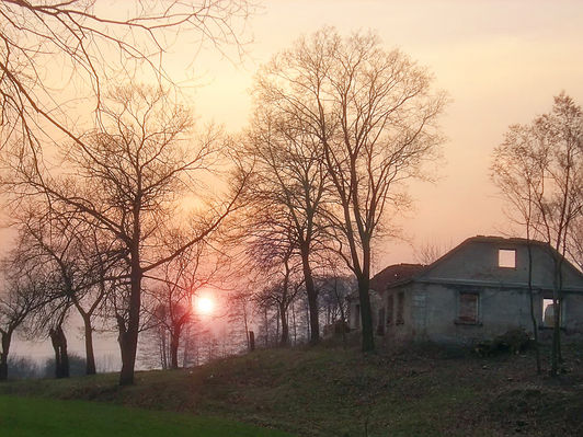 Ruiny
[i]Parowa Podolszyc Południowych[/i]
