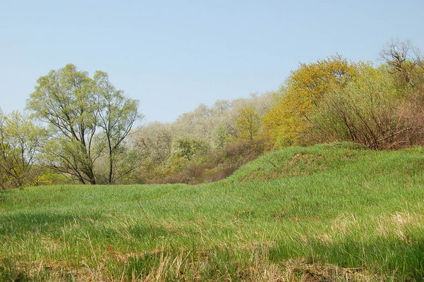 Polana na Parowie / Wiosna
