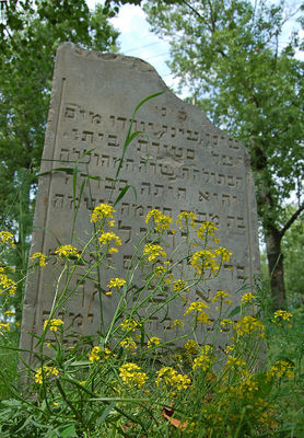 Tablica Cmentarza Żydowskiego - Bodzanów
Cmentarz założony w końcu XVII w
